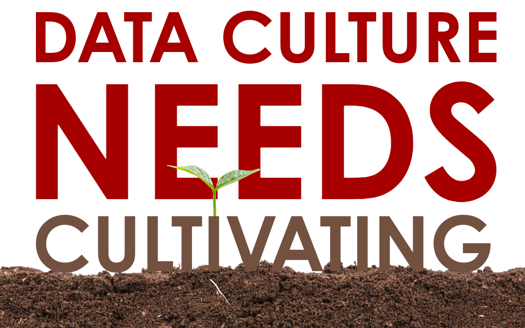 Nourishing Your Data Culture
