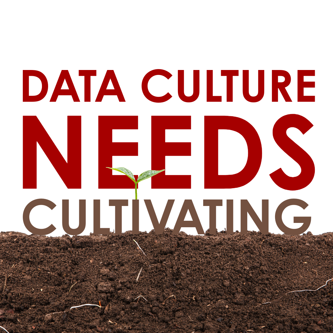 Nourishing Your Data Culture